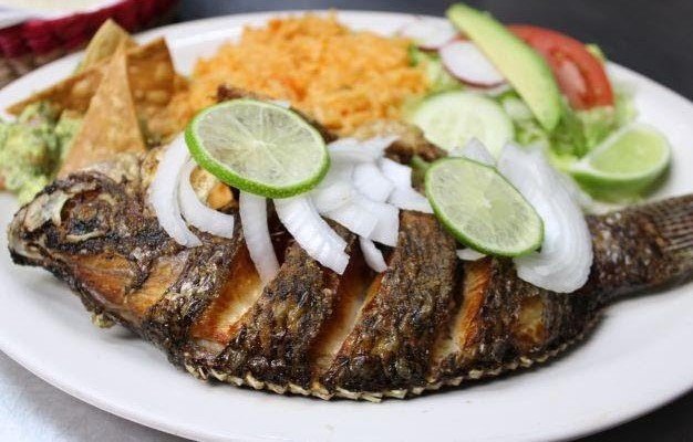 food photos